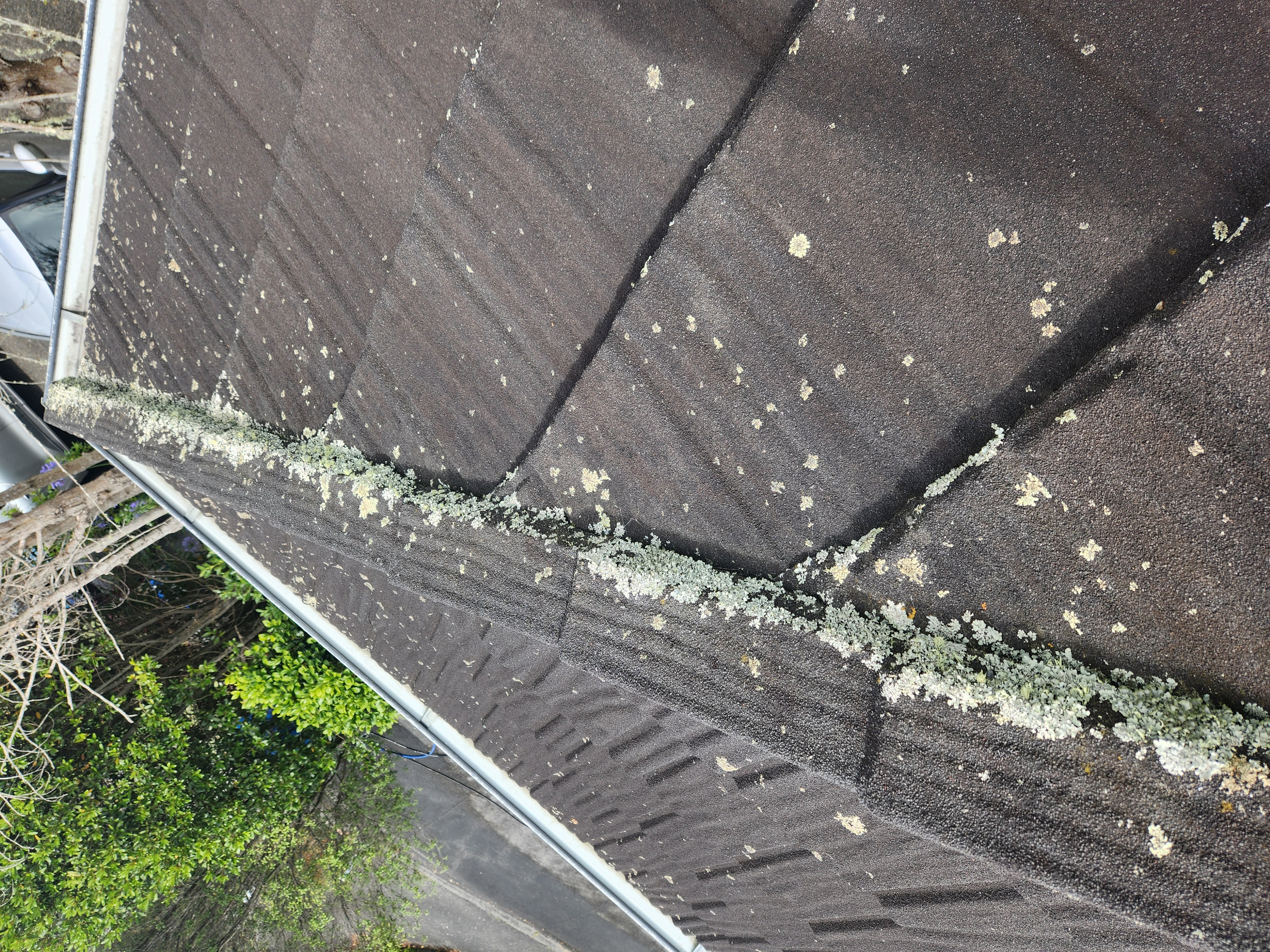 Roof treatment project 2 - algae removal and protection
