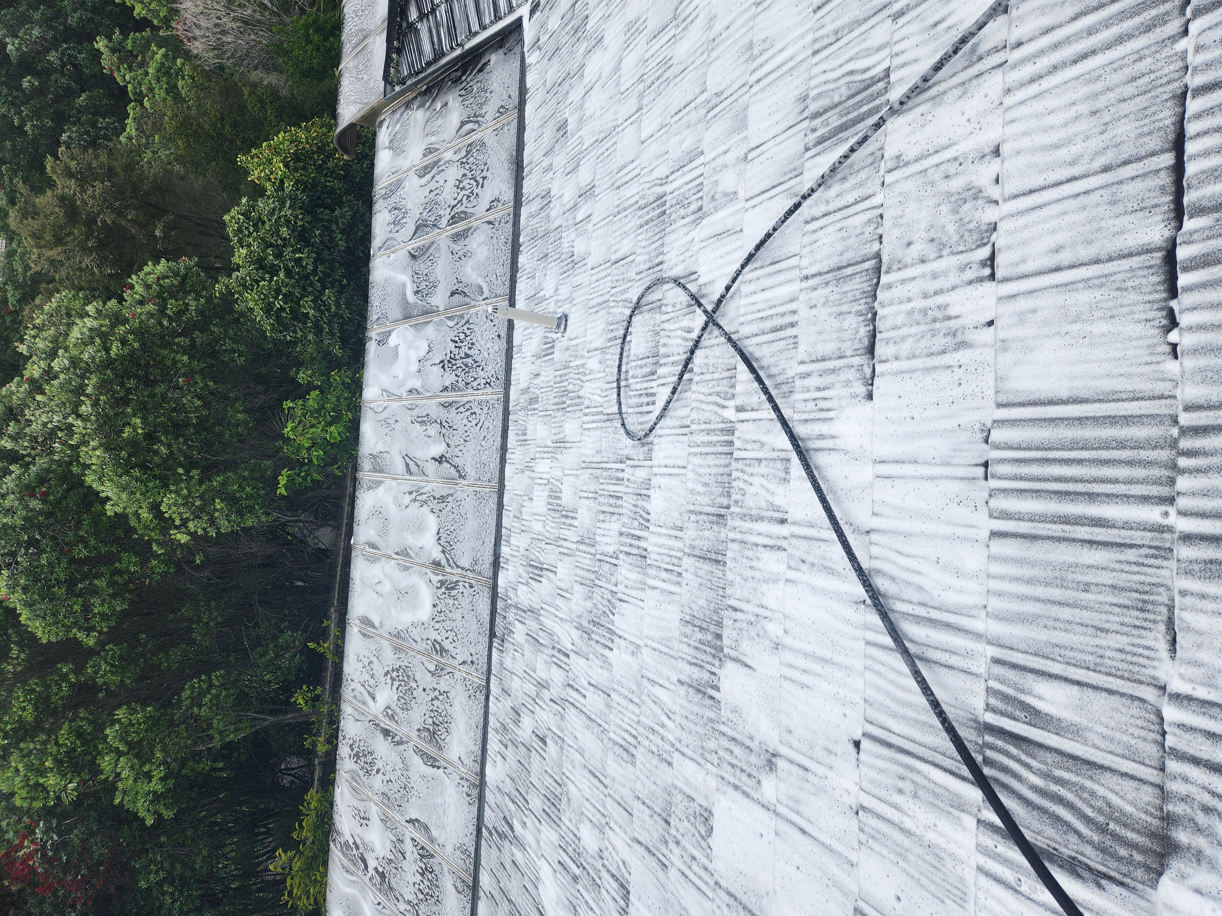 Roof treatment project 4 - comprehensive roof cleaning
