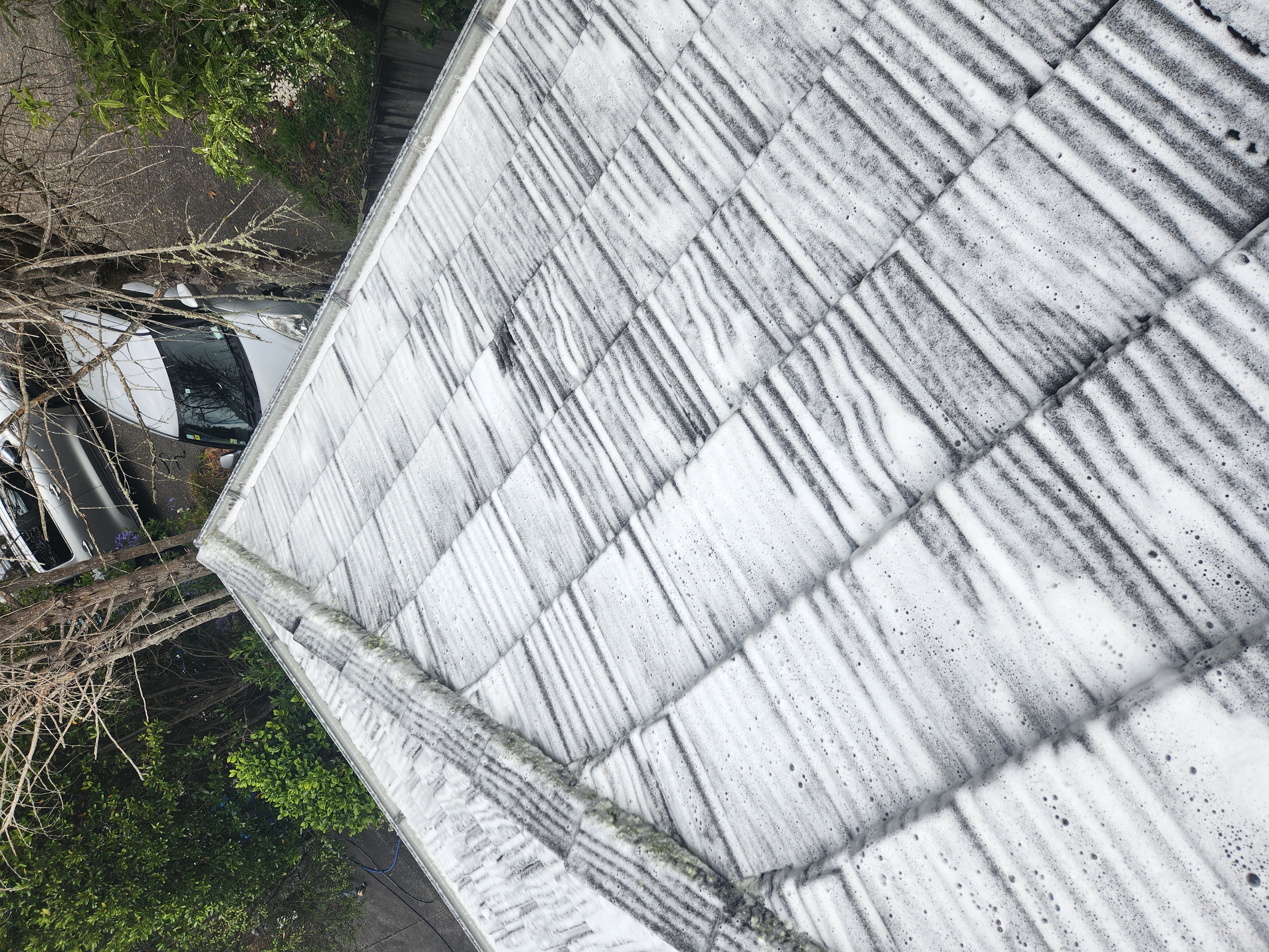 Roof treatment project 5 - moss treatment and protection