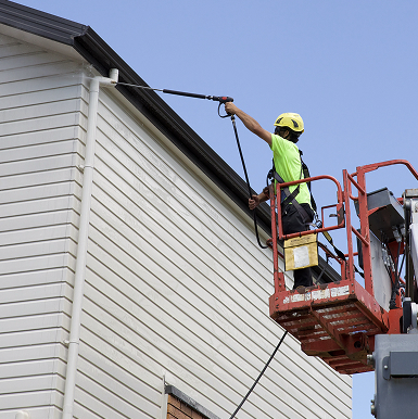 Professional gutter cleaning service