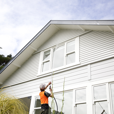 Professional house washing service