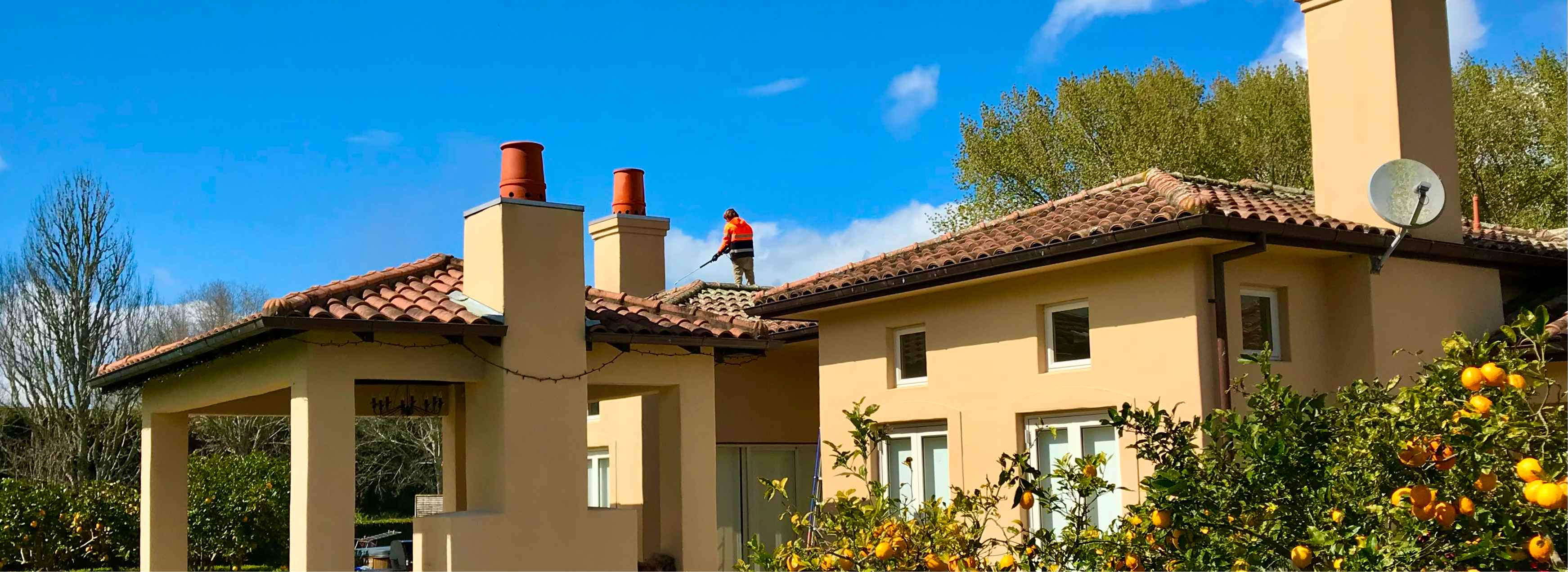 Professional roof treatment service