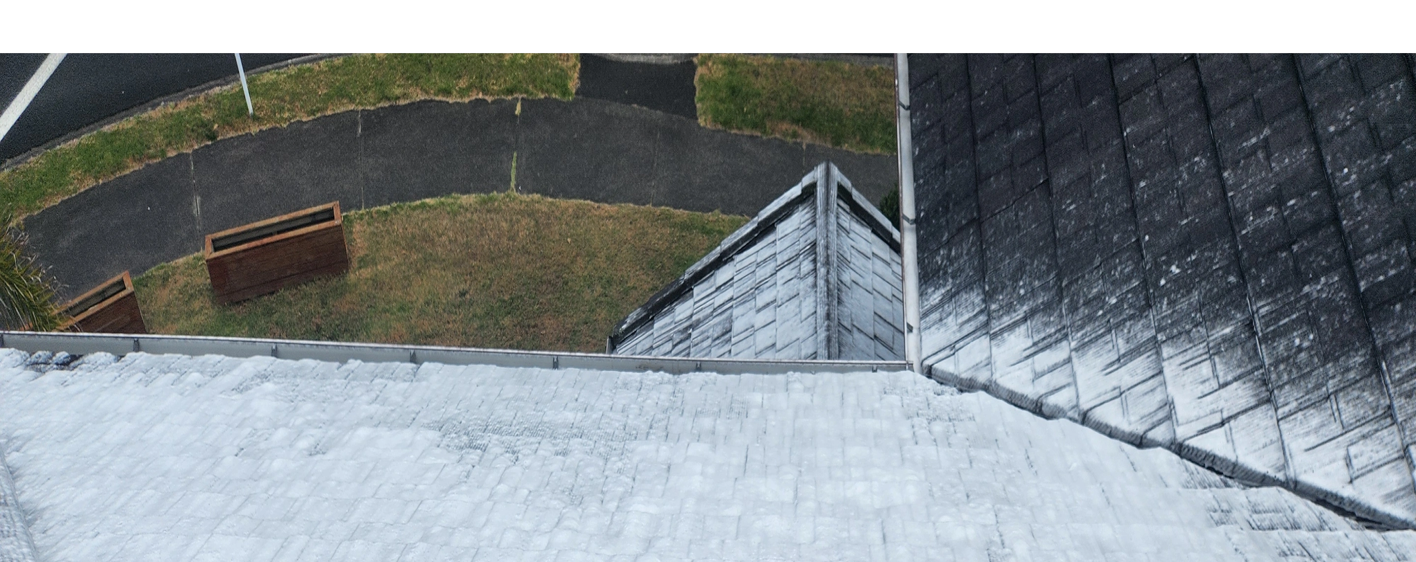 Professional roof treatment service